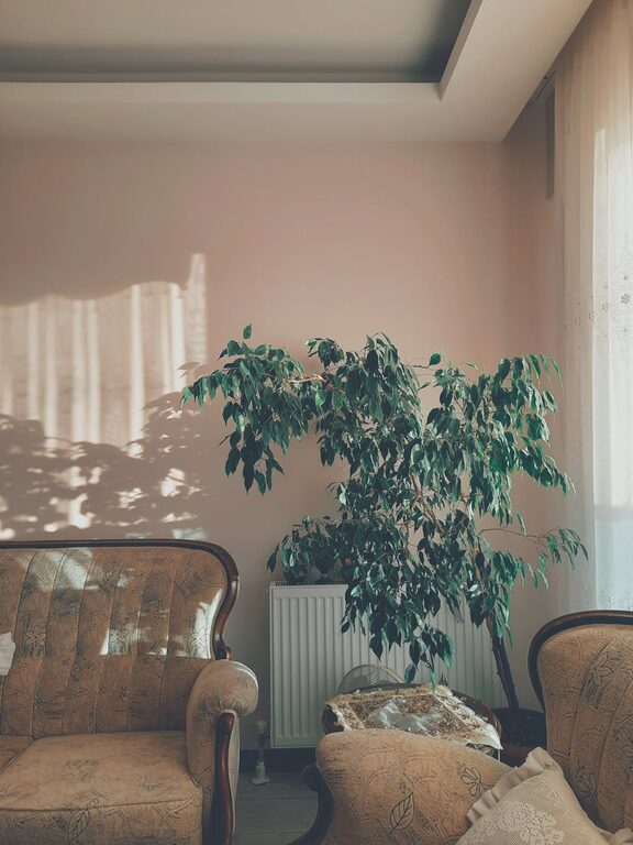 Simple Tips to Create a Cozy and Inviting Living Room Atmosphere