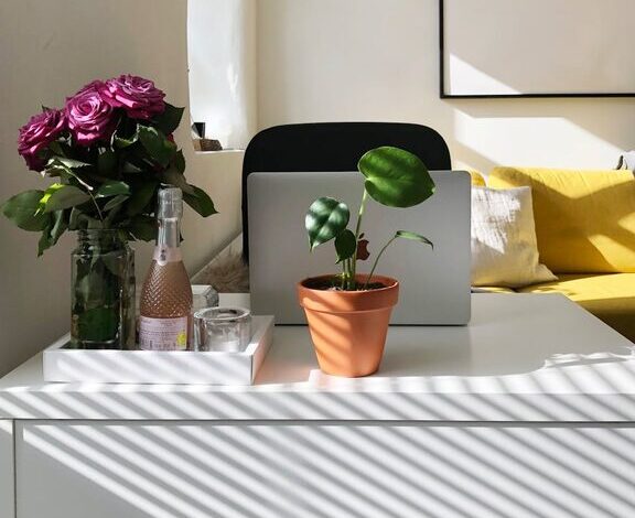 Tips for Creating a Relaxing Home Office Environment